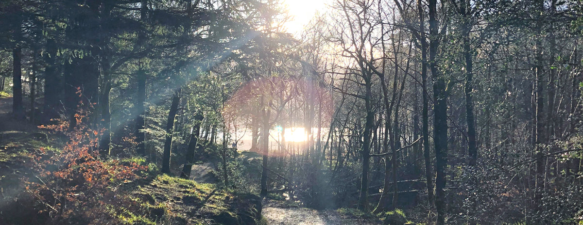 From Forest to Fabric: The Journey of EcoVero™