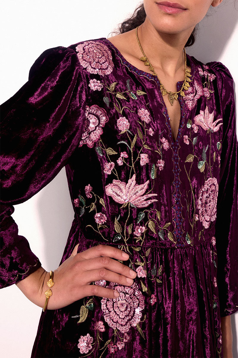 Katlin Velvet Embroidered Dress