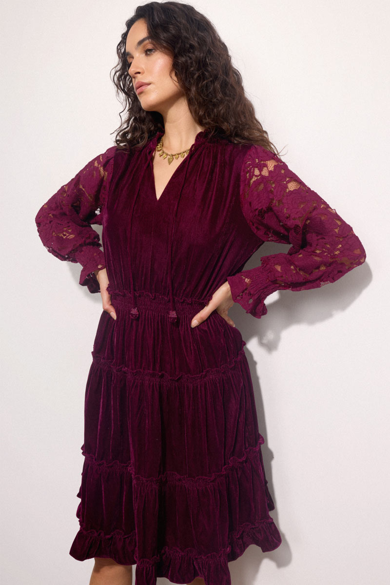Rosita Lace Sleeve Velvet Mini Dress