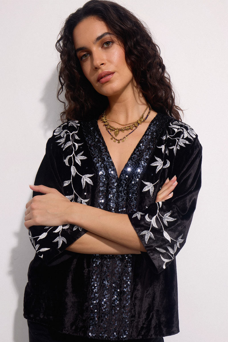 Bibi Embroidered Velvet Top